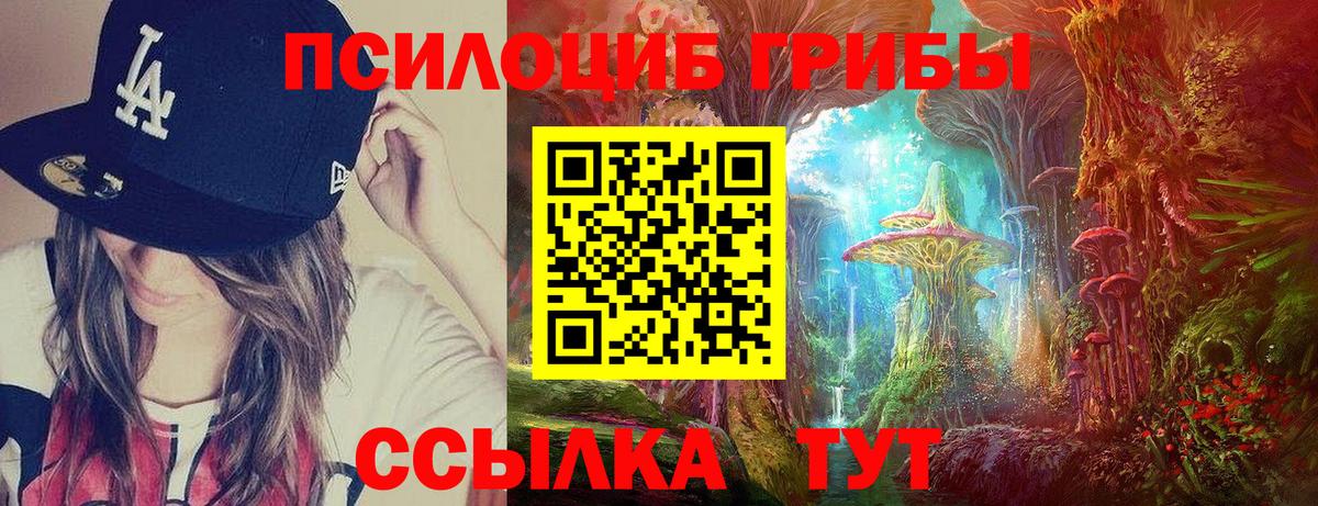 Псилоцибиновые грибы GOLDEN TEACHER  Галлюциногенные грибы Cubensis  Вход с VPN  Зеленогорск 